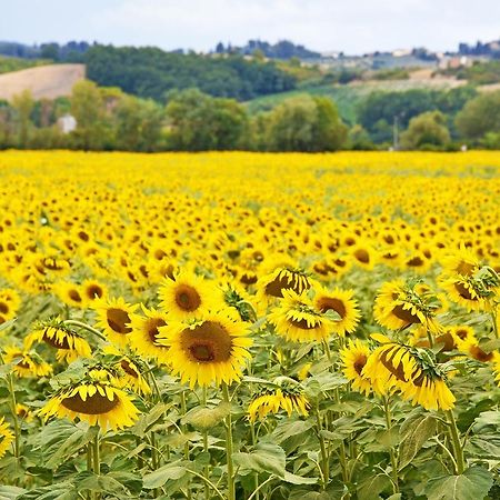 Agriturismo Tre Madonne Monteriggioni Dış mekan fotoğraf